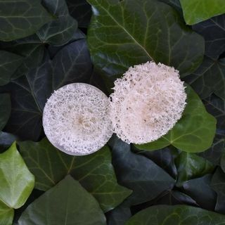 Loofah Foot Scrub - White Tea