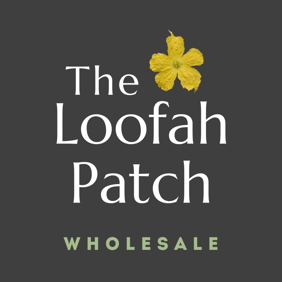 Wholesale Natural Loofah NZ